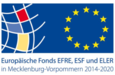 EU Logo 1